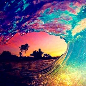 Meet your Posher, Sally